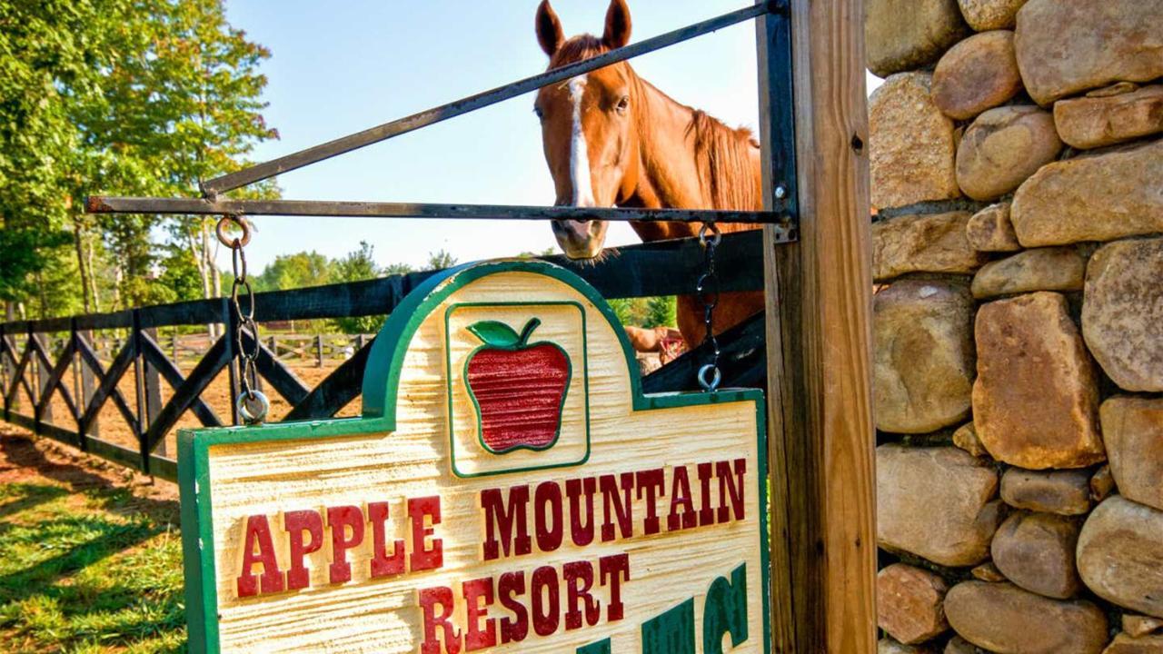 Holiday Inn Club Vacations Apple Mountain Resort At Clarkesville Dış mekan fotoğraf